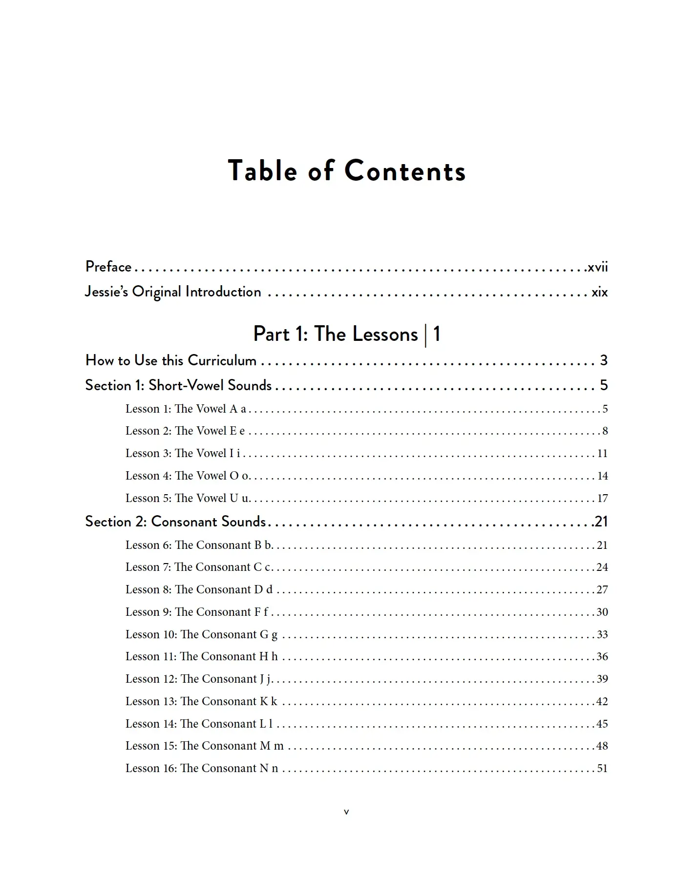 The Ordinary Parent's Guide to Teaching Reading, Revised Edition Instructor Book - Image 2