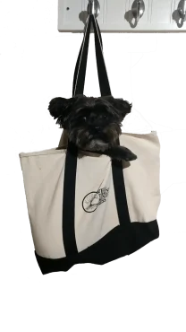 Well-Trained Mind Press Canvas Tote Bag